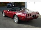 Thumbnail Photo 4 for 1993 Chevrolet Corvette